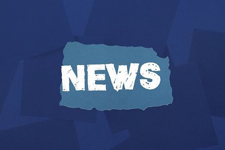 Dull Melino Torrwr Carbide